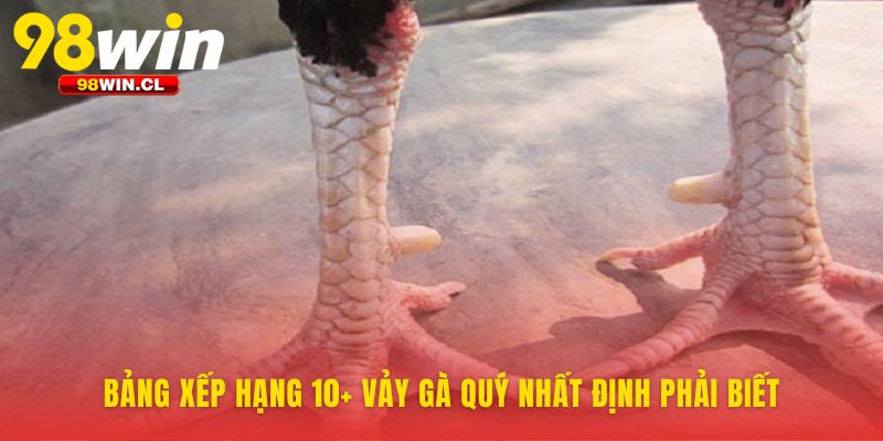 Bảng vàng vinh danh những đặc điểm chiến kê quý