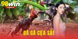 Đá Gà Cựa Sắt